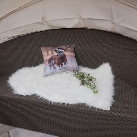 Appartement Deisl Wagrain Dış mekan fotoğraf